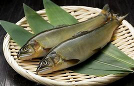 新緑の使者、清流の女王とも呼ばれる旬の味『鮎』を天ぷらにしました。本日より販売開始